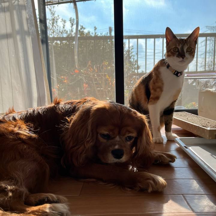 E24a9f54 2485 4c1b 8ec1 c15386b33551 1671670097802