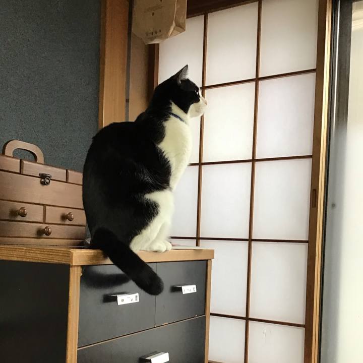 E24abcf2 85a8 49c4 a5b3 0a4a89f1c490 1708850863346