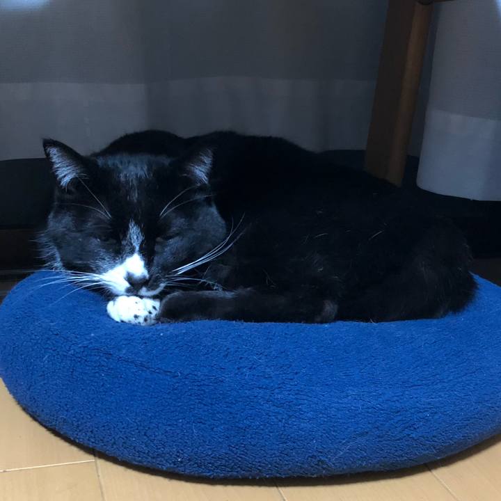 E24acde9 1c93 4720 8065 e2add4772a19 1649735389306