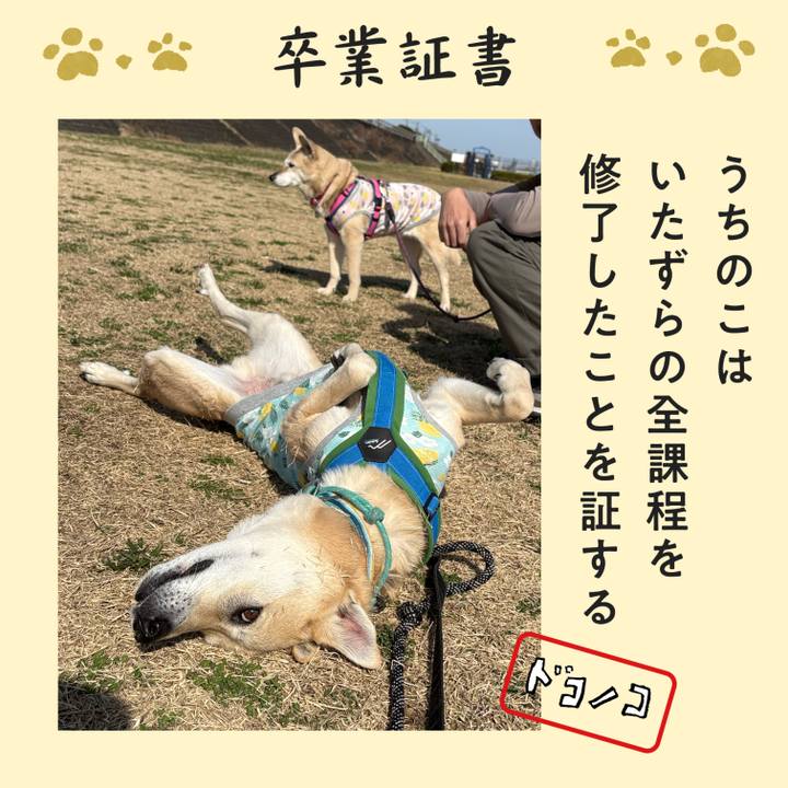 E24afadd cf56 45ac b9ec 5f2aaac2c264 1772376003827