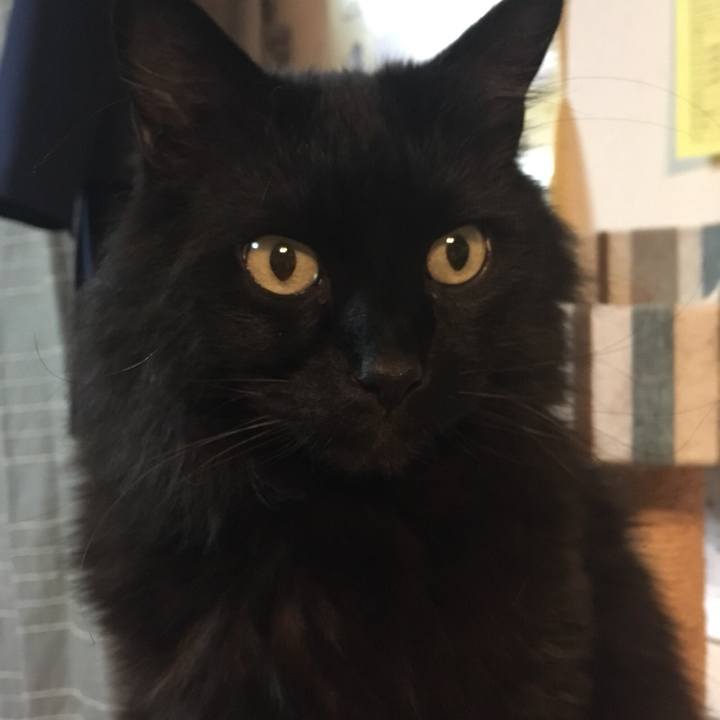 E24afce0 b173 4cf9 be57 666992eda166 1555675573683