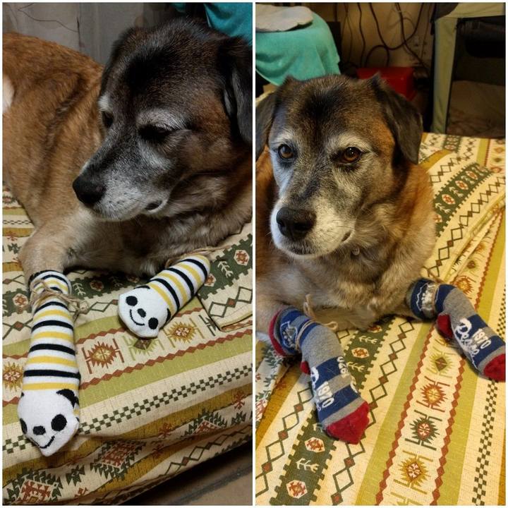 E24b0602 4949 46bf bb7c 68f1c9da3013 1542152193355