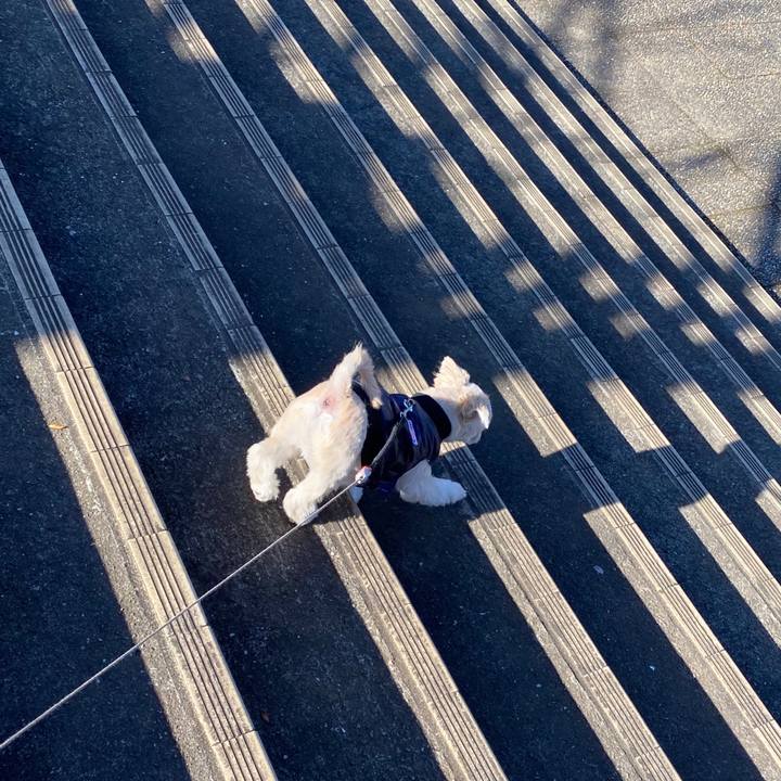 E24b06dd 8560 49d9 bfe8 878380f9f8dc 1576818649828