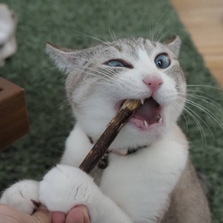 E24b38a0 e57a 4a3e 85e3 c592de353a38 1610965419671