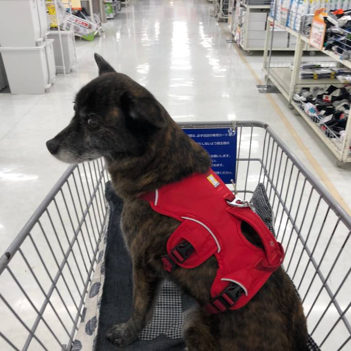 E24b62e9 442a 4f34 8ff9 37bcf192a5f9 1620031087359