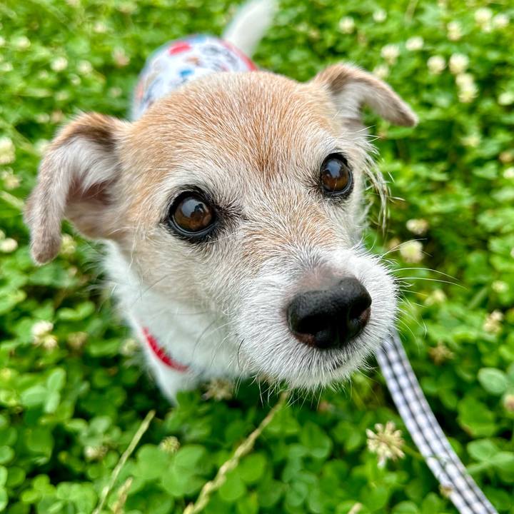 E24b91f3 b953 4b64 84b4 df1b452f05dc 1719739547192