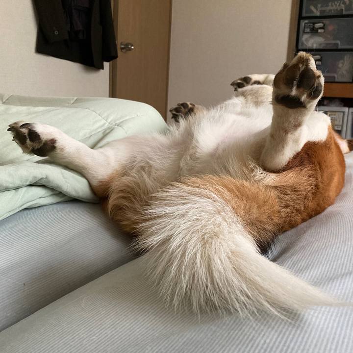 E24bd936 68ef 45dd a4d5 07ab35bbe584 1654921158378