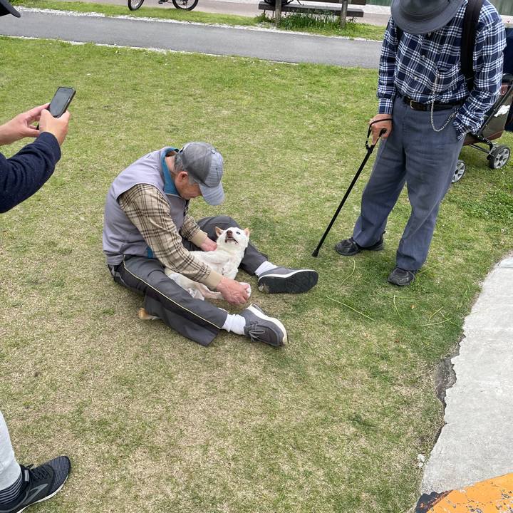 E24be1d4 b8c0 4a0e a940 070025dbca4f 1681914061238