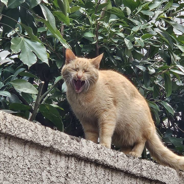 E24bfc92 ab26 4478 a091 f643b5c32fa1 1709161107083