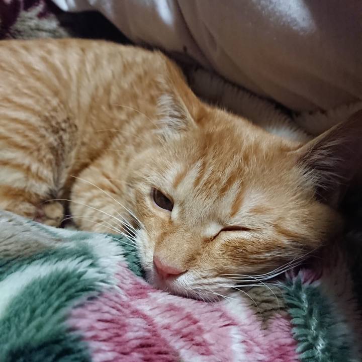 E24c1522 d130 474a 94a3 ebe11c07352d 1636547011721