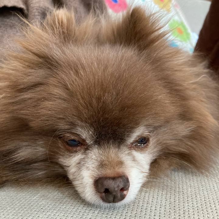 E24c2281 5b07 4230 8267 b2732c386583 1710040351061