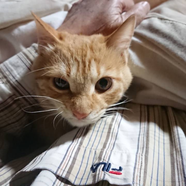 E24c30ad a215 457d be80 a6517f735b22 1637181145472