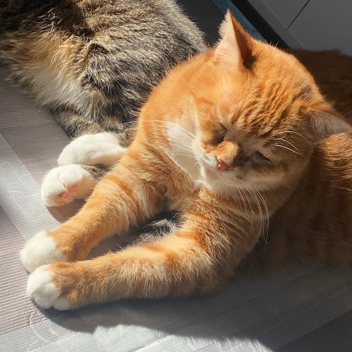 E24c3a97 92a6 4cea 9272 9021ecaa244f 1638580789437