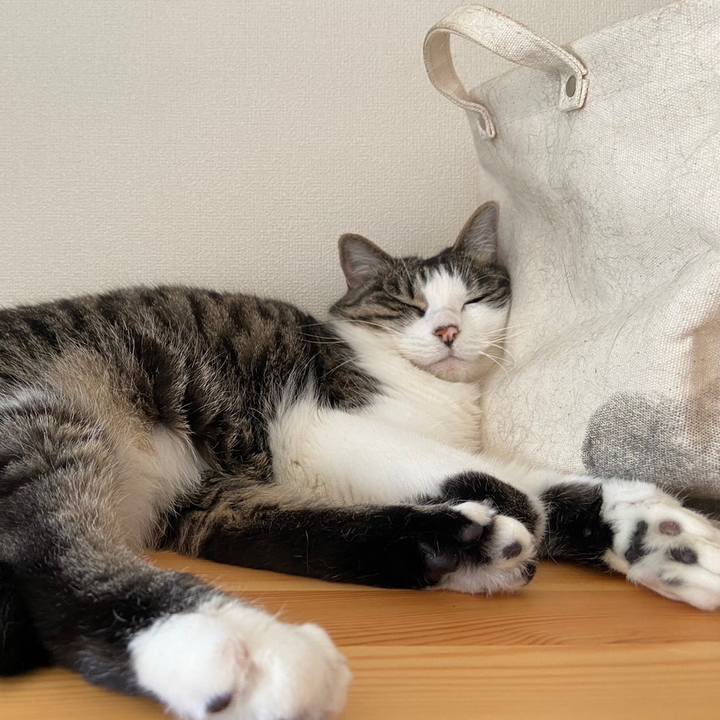 E24c48dd 8d87 4758 b058 c58b8b53c942 1686666983349