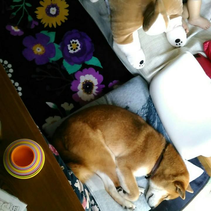 E24c5444 f01a 4358 995b 4ac9a7183887 1557896613116