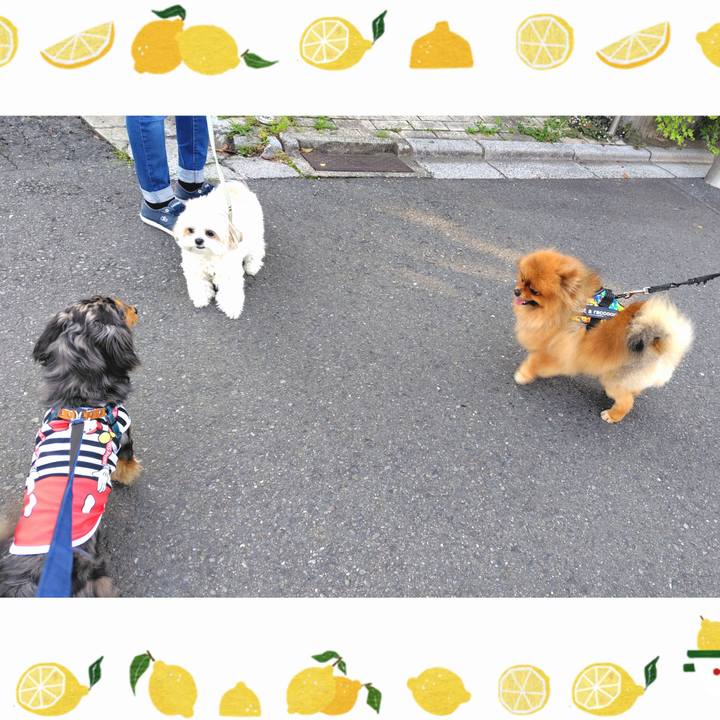 E24c75e3 f27a 488b a37d f2a6d841a11d 1748516576540