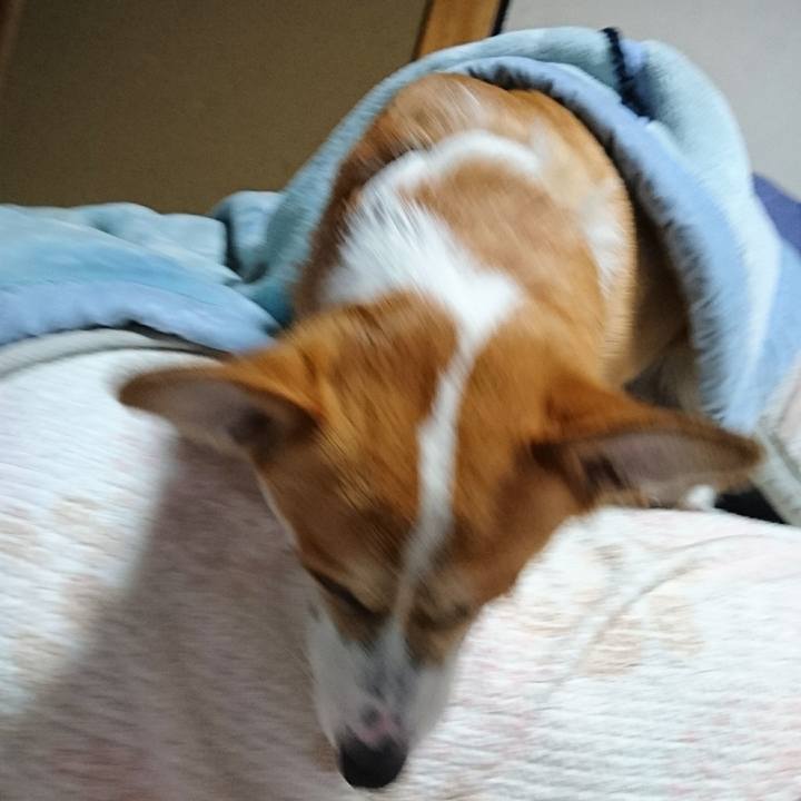 E24c7d14 2104 49f3 a902 366cc78b5ae4 1580251512427