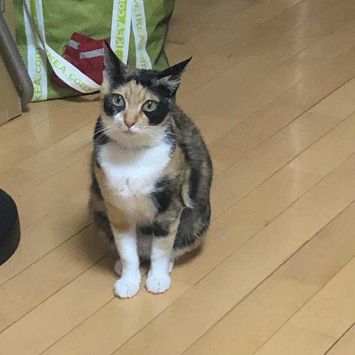 E24c834a a44d 48db 951b 37d1810ce89c 1580510260603