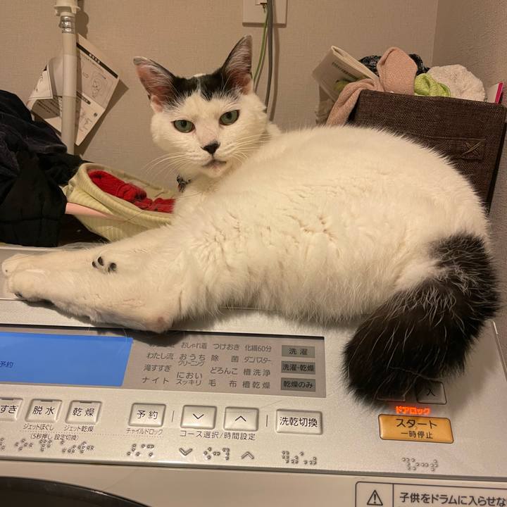 E24c9186 e6a4 4b06 a29d b12c64ab7045 1693494060057