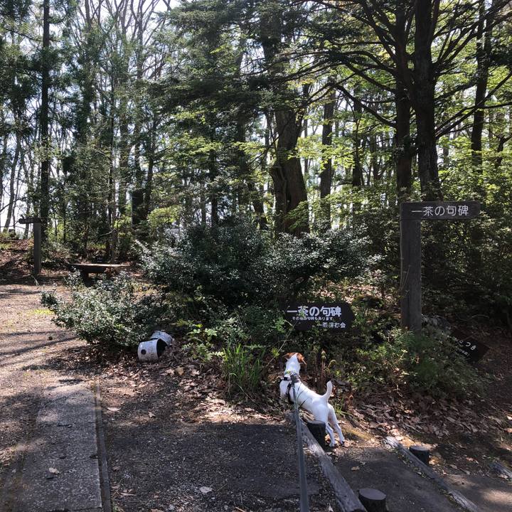 E24cb53e f3cc 40ba be0e b442f53b71b4 1524889454200