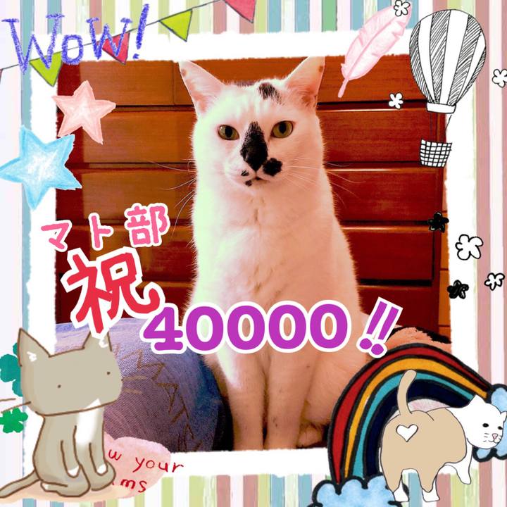 E24cb665 2116 43b0 a086 54985d278eb2 1555597318974