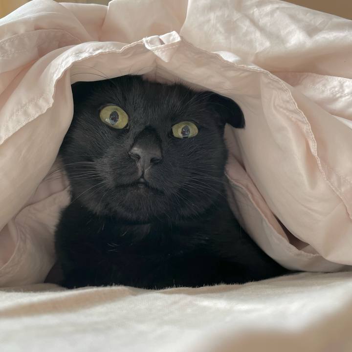 E24cbf27 ea41 4dcd a204 35634fb9bf50 1664367899940