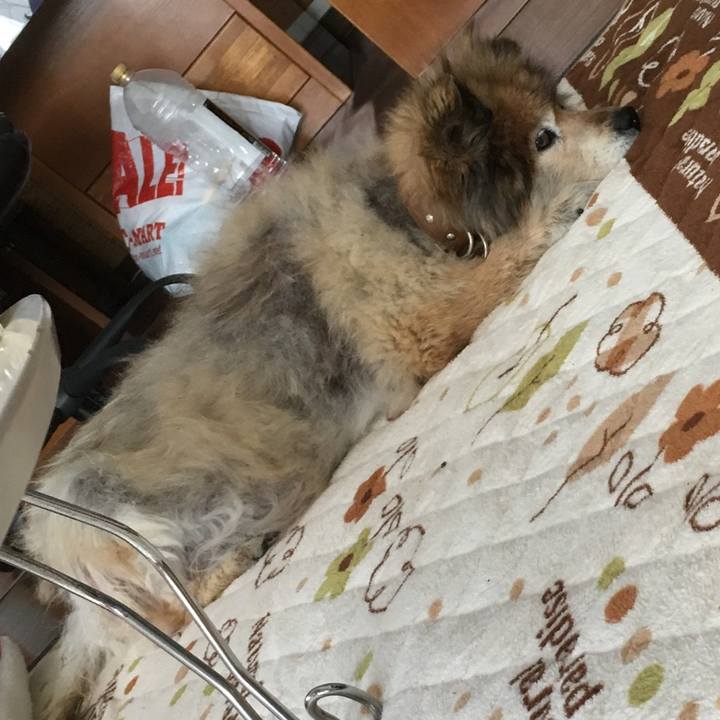 E24cc1b3 5d70 4e1c b12a e98e993a4032 1567479514260