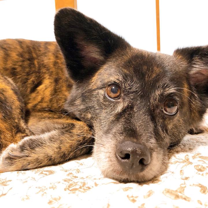 E24cf7fb bbbe 4e93 a725 6a2e9d3d33a4 1594107083631