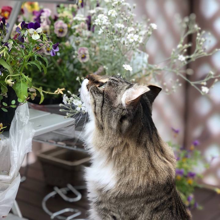 E24d13fa e3b3 4bc1 855d 759f8022d29b 1528942759570