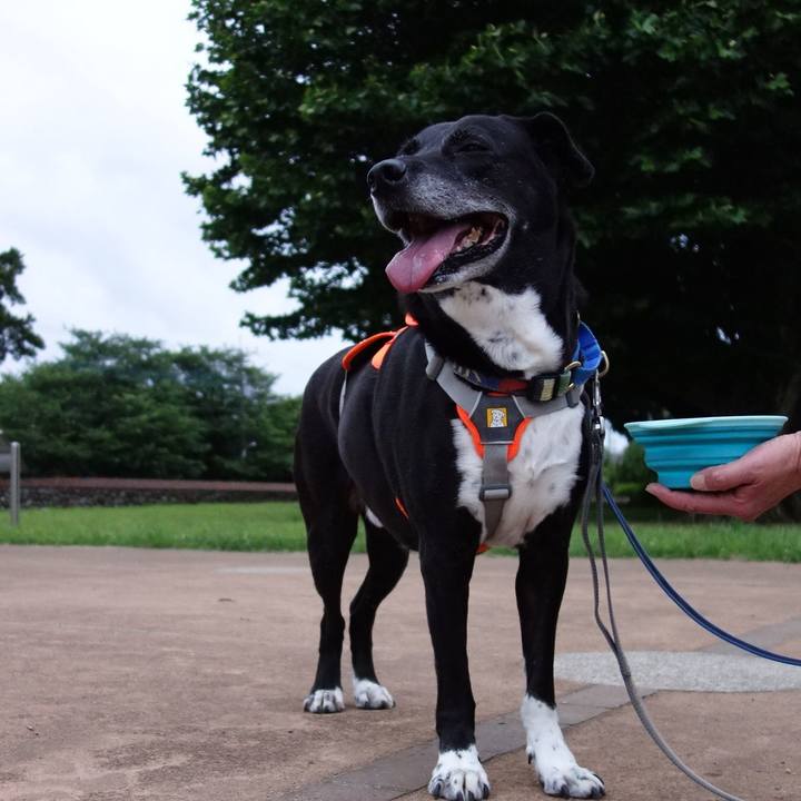 E24d1ffd 3902 42cd b391 0d3e6aa4359c 1717928347980