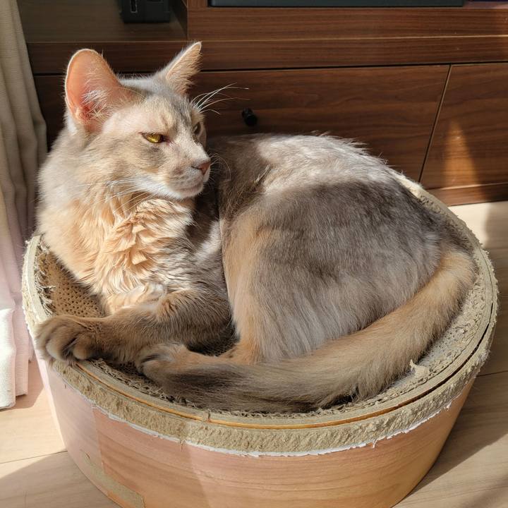 E24d634c 8700 4488 a343 f05a64867c04 1667098609661