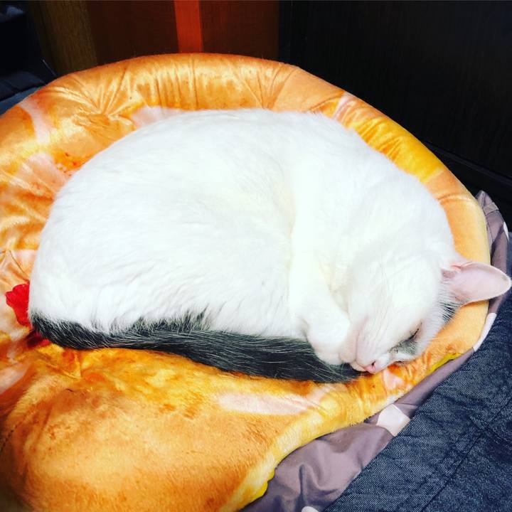 E24e10a8 e6d4 4b0c 9e4a da6802203bd7 1564983298157