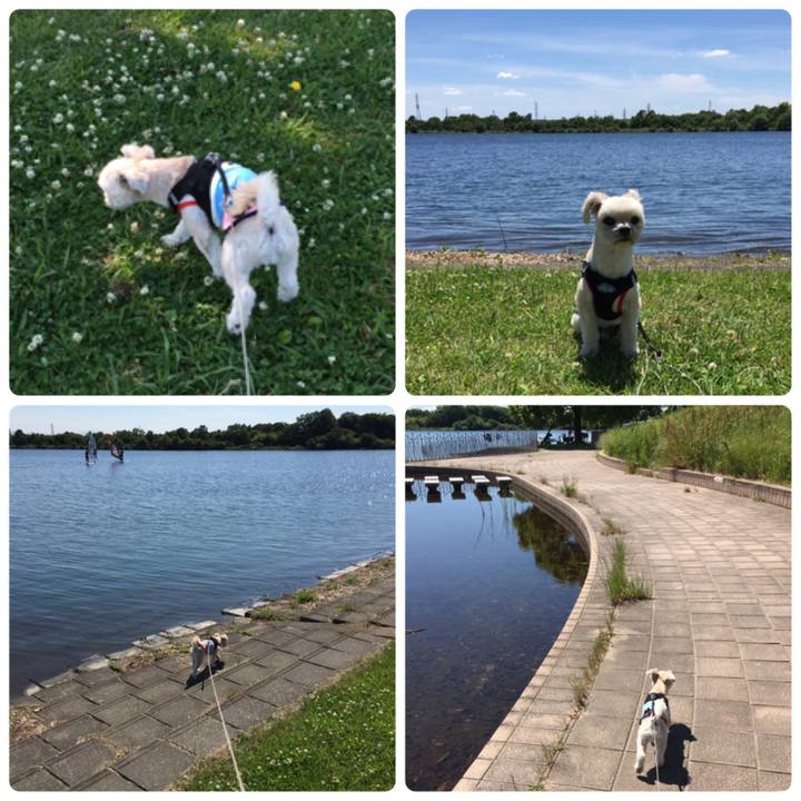 E24e1b58 4fc0 4bbc b891 7576fee84537 1526803123126