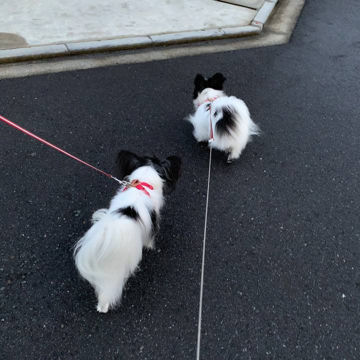 E24e2887 5b2e 4235 b5f1 8aa23acfc8af 1565730264553