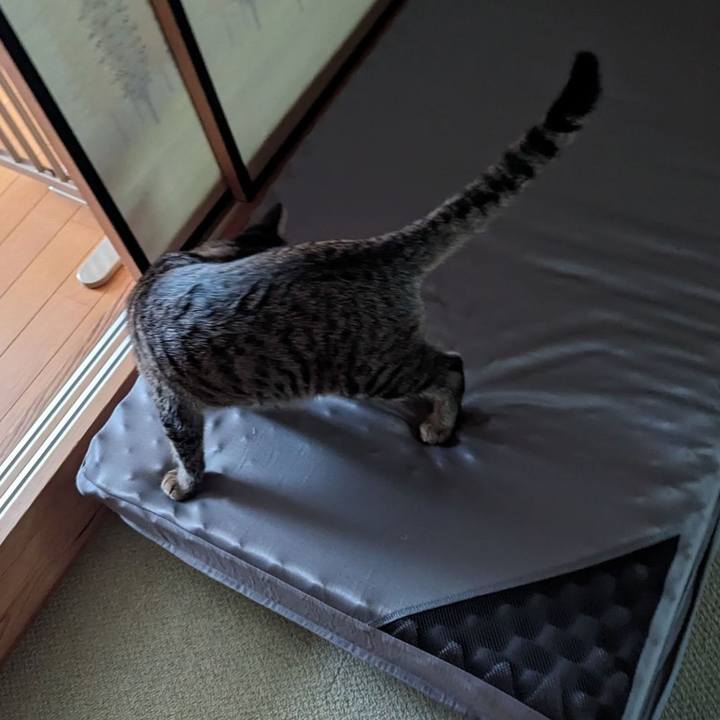 E24e2cad 196c 476b a5f1 03bdeb6addb3 1714463412553