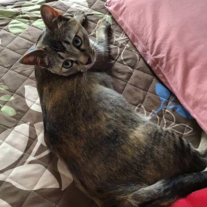 E24e305f c57f 45d2 8b62 0108464239d2 1590533506574