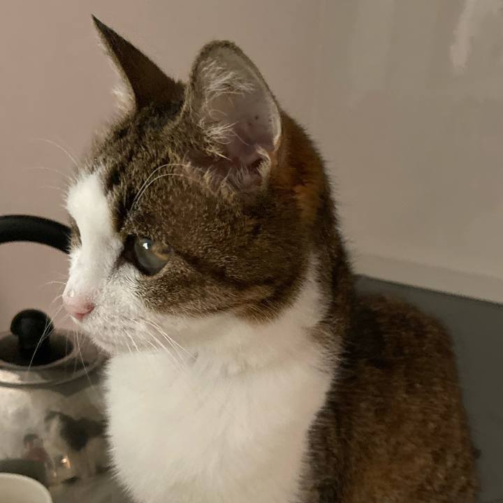 E24e51e1 6881 4da8 a155 7524c3815281 1572867812573