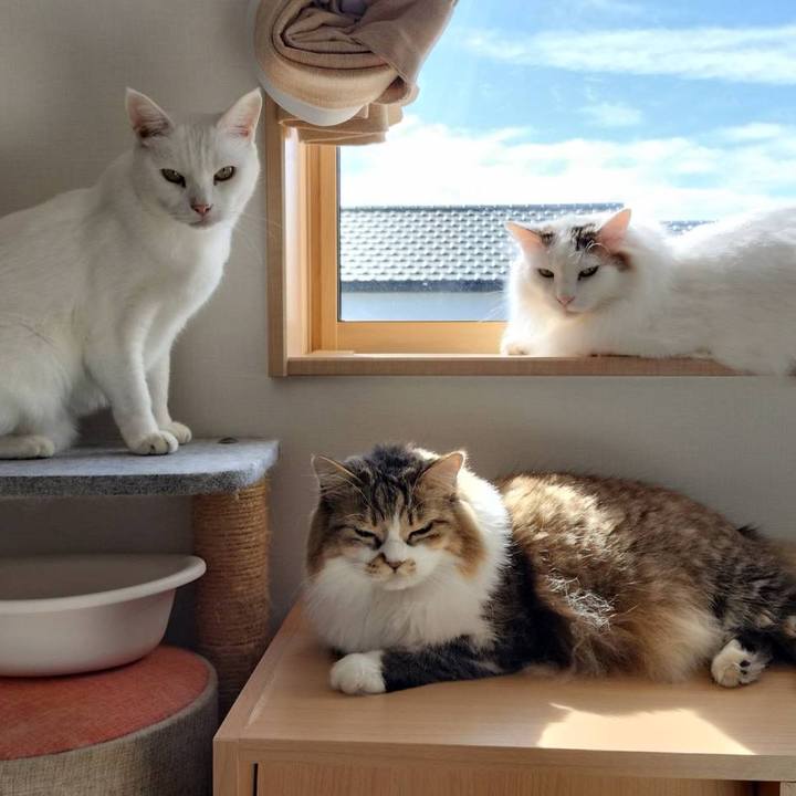 E24e80c3 44a6 4dff 8faa 14c24770570c 1763257295254