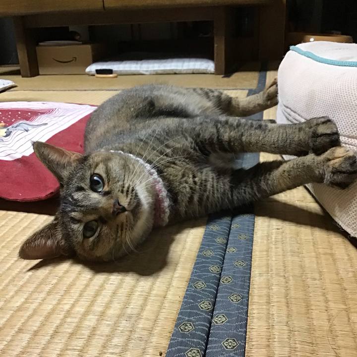 E24e8cfc 852e 4644 8eb5 55d3aa80dd9b 1661169120856