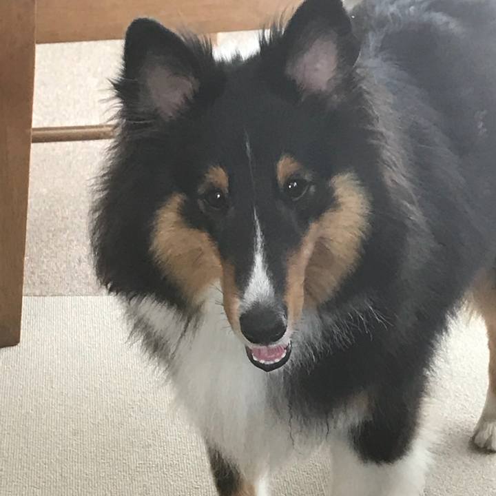 E24e8dd9 b443 4e6f b739 8b7f91f756c3 1534210849028