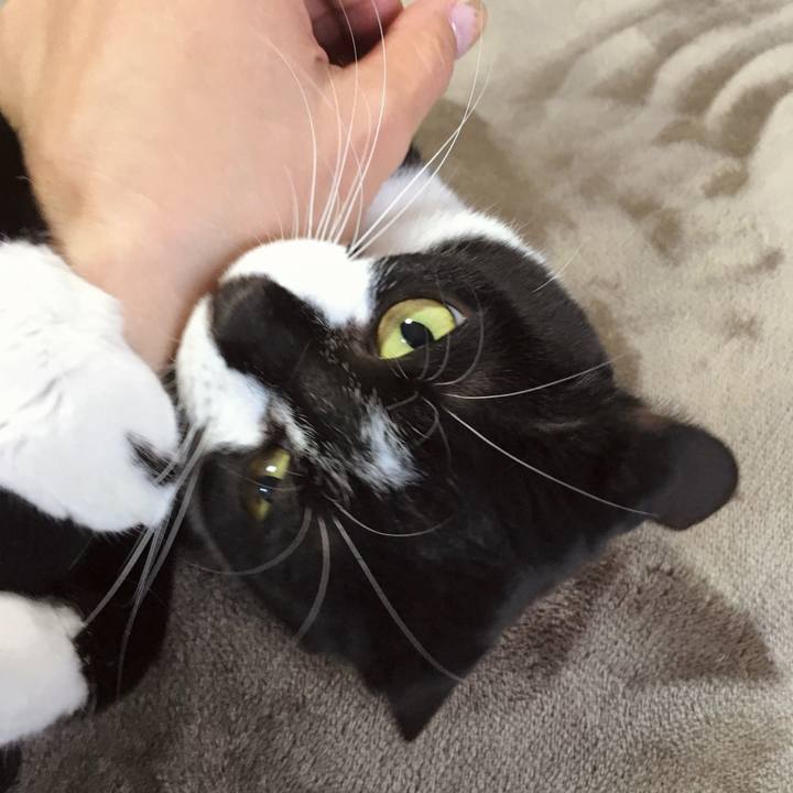 E24eca98 950f 4e31 a385 466b2437054c 1759135586558