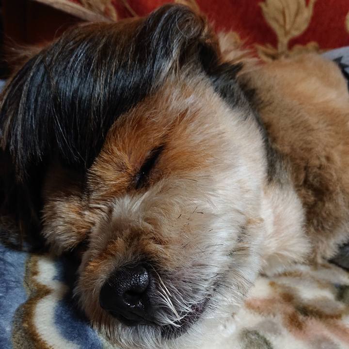 E24ee2ee 5607 421f 8866 74b60f459e2f 1581511838321