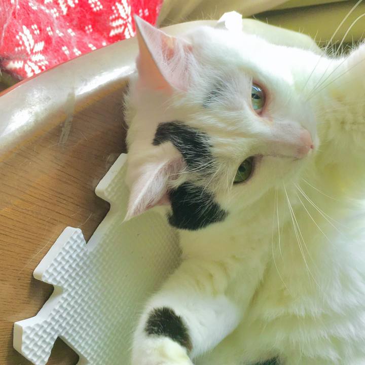 E24efea3 0c3d 4361 90a1 06610aee67cf 1599550451375