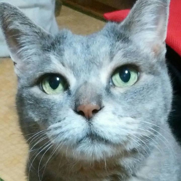 E24f806c 587d 43d0 87dc fbb82c627228 1592739465560