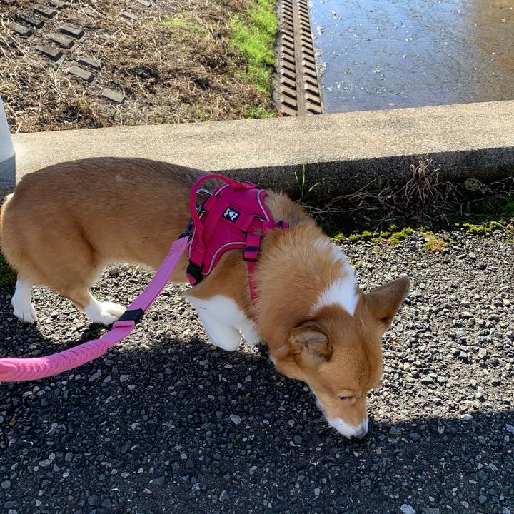 E24f878b e79e 4ddb 9c2d cf41f34261e1 1700274208462