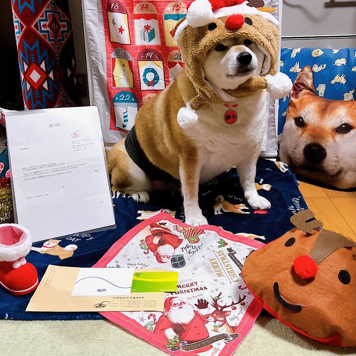 E24fb127 ab31 42b6 ab6e 5c88ec6cf27a 1671353574628