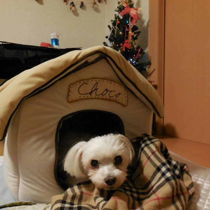 E24fdb28 4ac7 4040 a423 85a2b1634b51 1544960506574