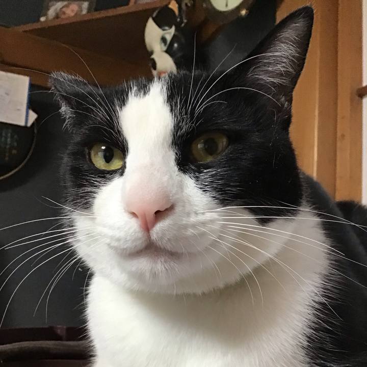 E24fdf2a a4ff 4a98 a050 5d500e779e51 1651396763018