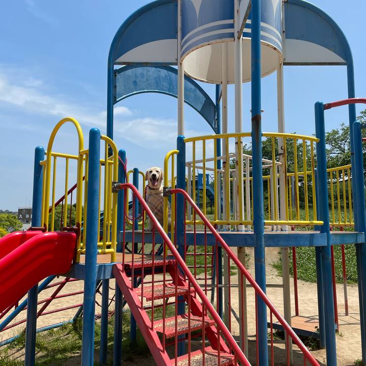 E24ffb6a c513 4e23 b274 88c1e45683f8 1620973227198