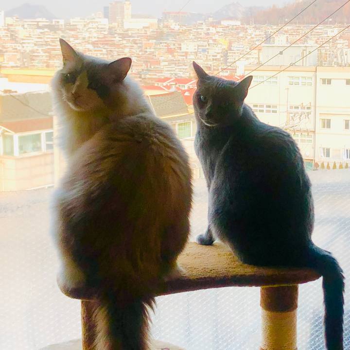 E250000a 70b9 4fb4 bbfc 073c2d81edf8 1577780495425